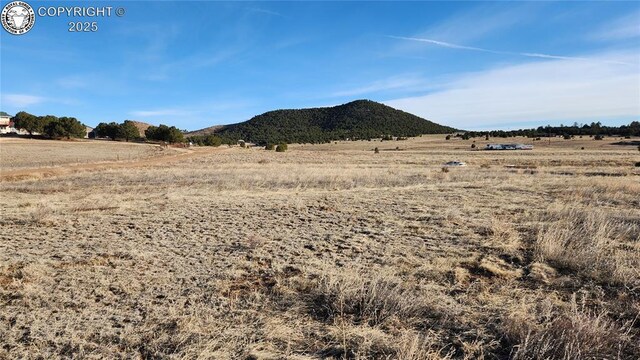 TR-36 23rd Trl, Cotopaxi, CO 81223 - photo 6
