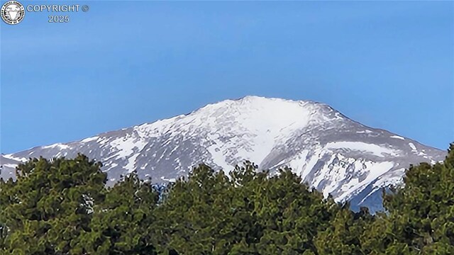 TR-36 23rd Trl, Cotopaxi, CO 81223 - photo 18