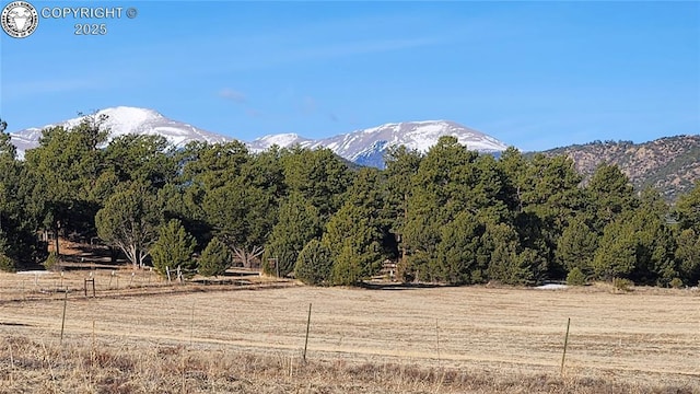 TR-36 23rd Trl, Cotopaxi, CO 81223 - photo 1