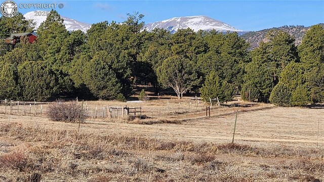 TR-36 23rd Trl, Cotopaxi, CO 81223 - photo 4