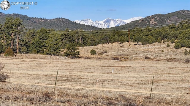 TR-36 23rd Trl, Cotopaxi, CO 81223 - photo 11