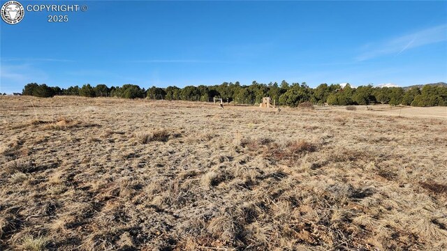 TR-36 23rd Trl, Cotopaxi, CO 81223 - photo 7