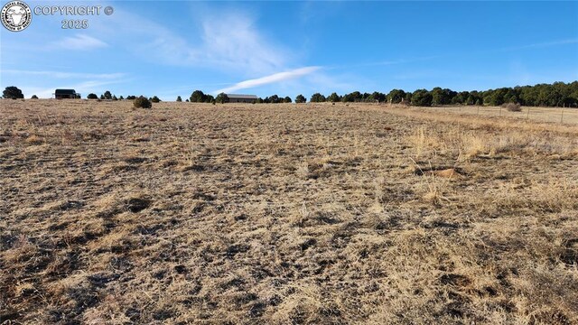 TR-36 23rd Trl, Cotopaxi, CO 81223 - photo 16