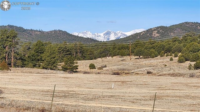 TR-36 23rd Trl, Cotopaxi, CO 81223 - photo 3