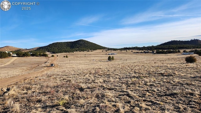 TR-36 23rd Trl, Cotopaxi, CO 81223 - photo 10