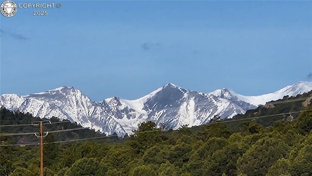 TR-36 23rd Trl, Cotopaxi, CO 81223 - photo 17