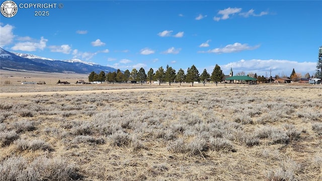 607 S Fifth St, Westcliffe, CO 81252 - photo 7