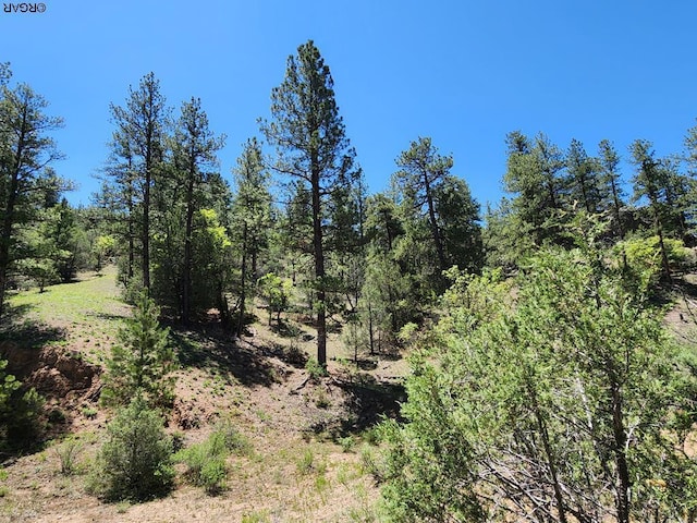 102 Kevin Dr, Cotopaxi CO, 81223 land for sale