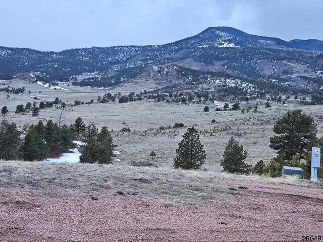 view of mountain feature