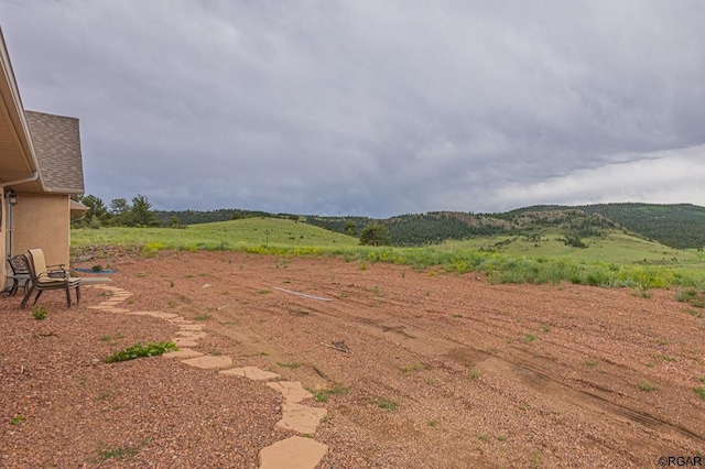 view of yard with a rural view