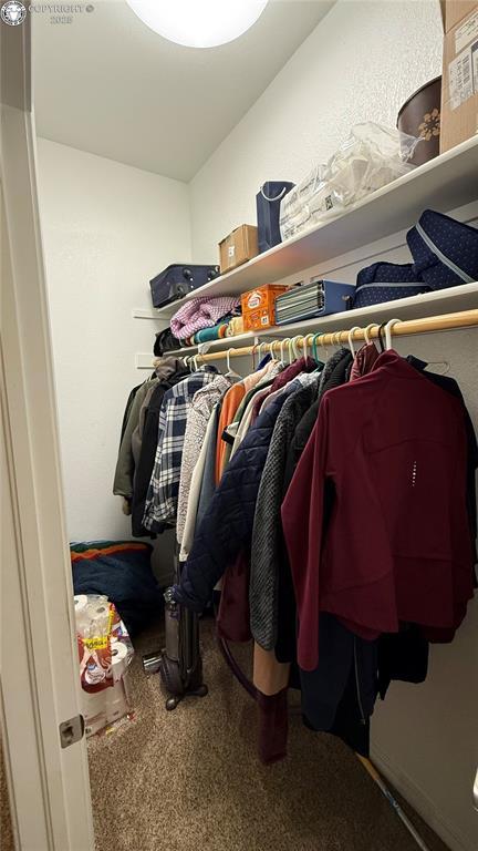 spacious closet featuring carpet