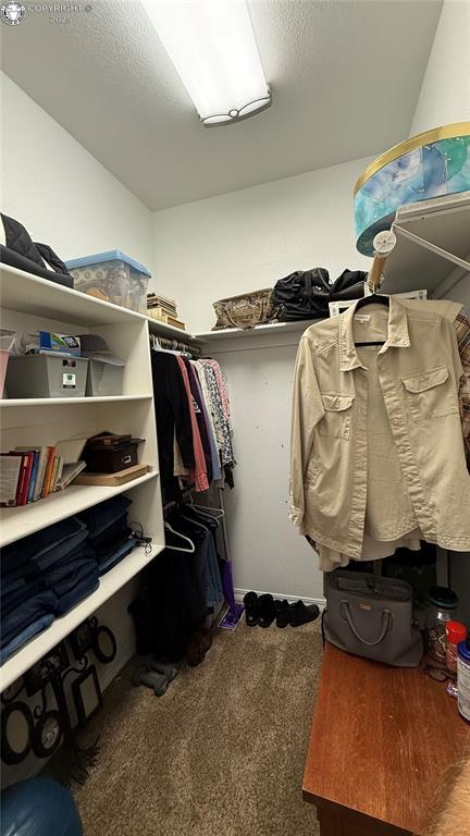 spacious closet featuring carpet flooring