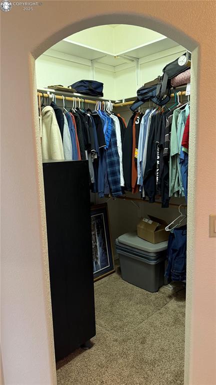 spacious closet with carpet flooring