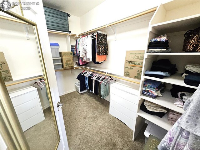 438 S Arriba Dr, Pueblo West, CO 81007 - photo 20