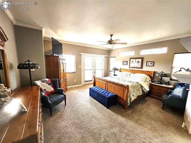 438 S Arriba Dr, Pueblo West, CO 81007 - photo 15