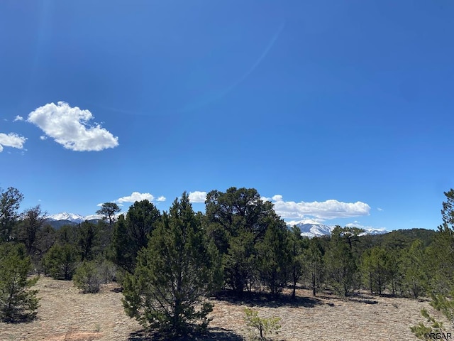 TBD 11th Trail, Cotopaxi CO, 81223 land for sale