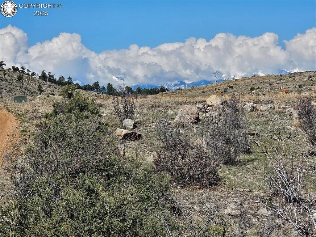 839 Shannon Trl, Cotopaxi, CO 81223