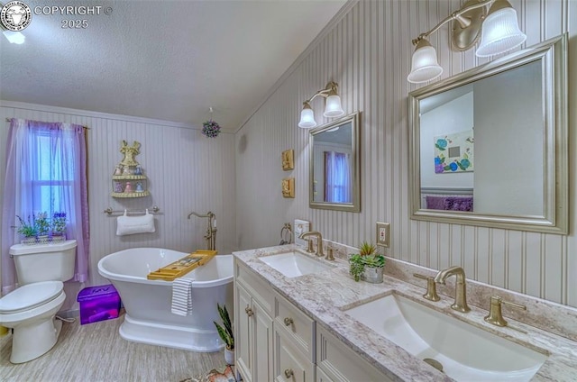 575 Wykagyl Rd, Westcliffe, CO 81252 - bathroom featuring a freestanding tub, a textured ceiling, a sink, and toilet