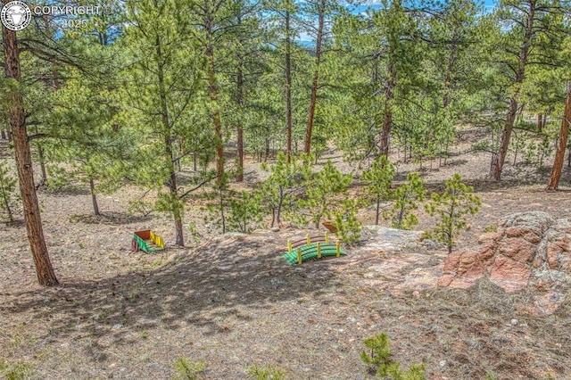 575 Wykagyl Rd, Westcliffe, CO 81252 - view of yard