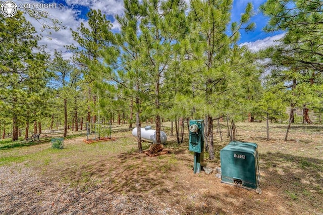 575 Wykagyl Rd, Westcliffe, CO 81252 - view of yard