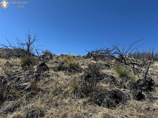 Listing photo 3 for FPath 25th Trail, Cotopaxi CO 81223