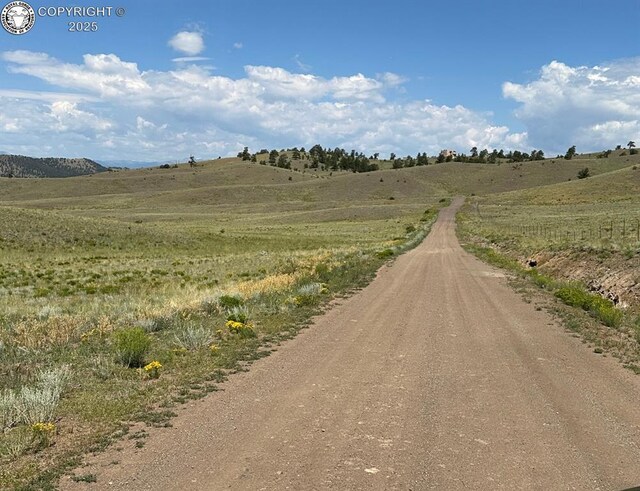 LOT26 Wolfe Rd, Hartsel, CO 80449 - photo 2