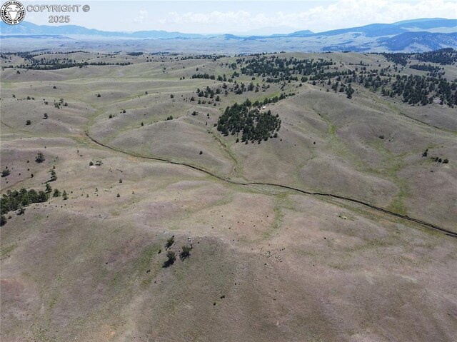 LOT26 Wolfe Rd, Hartsel, CO 80449 - photo 5
