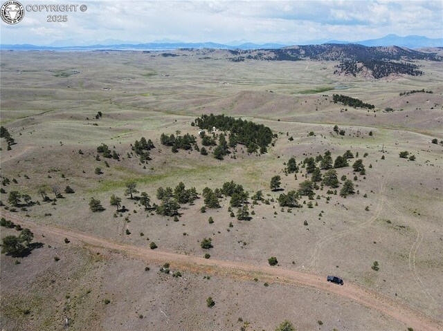 LOT26 Wolfe Rd, Hartsel, CO 80449 - photo 3