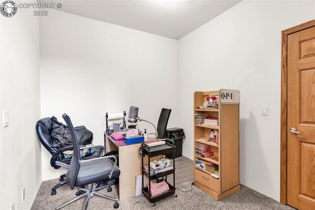 306 Bellows Ct, Canon City, CO 81212 - photo 18
