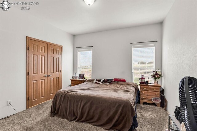 306 Bellows Ct, Canon City, CO 81212 - photo 13