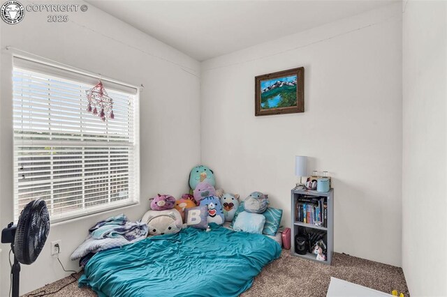 306 Bellows Ct, Canon City, CO 81212 - photo 15