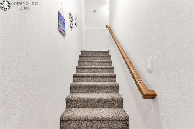 306 Bellows Ct, Canon City, CO 81212 - photo 19