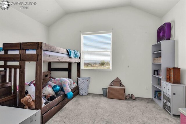 306 Bellows Ct, Canon City, CO 81212 - photo 8