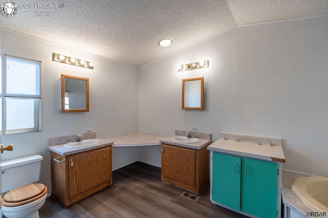 bathroom with vanity, lofted ceiling, hardwood / wood-style floors, and a textured ceiling