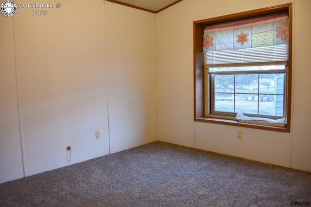 spare room with carpet flooring