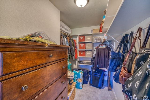 spacious closet with light carpet