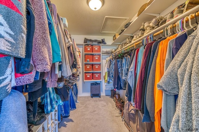 spacious closet with light colored carpet