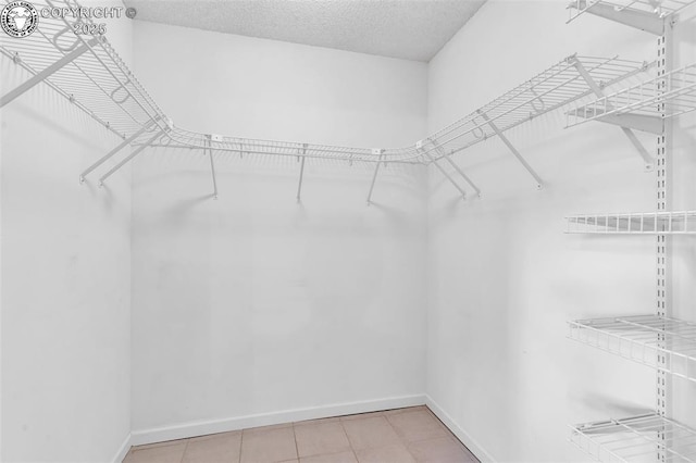 view of walk in closet