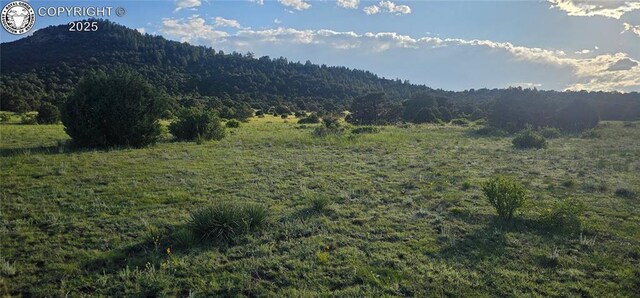 148 Mears Rd, Cotopaxi, CO 81223 - photo 29