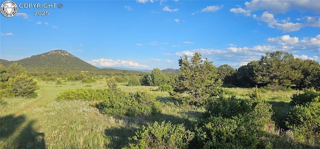 148 Mears Rd, Cotopaxi, CO 81223 - photo 46