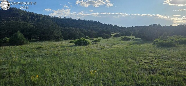 148 Mears Rd, Cotopaxi, CO 81223 - photo 17
