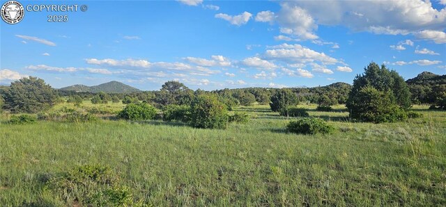 148 Mears Rd, Cotopaxi, CO 81223 - photo 20