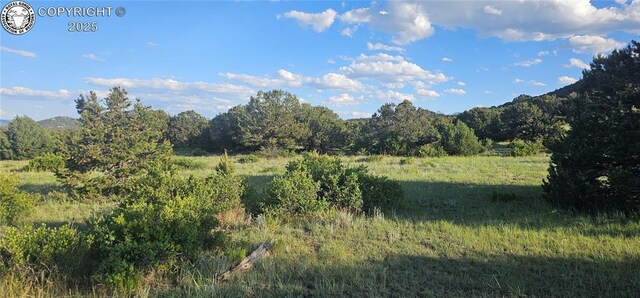 148 Mears Rd, Cotopaxi, CO 81223 - photo 8