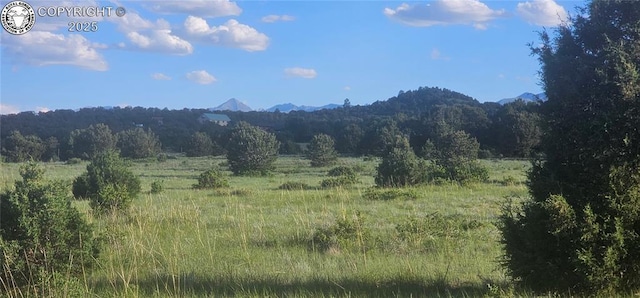 148 Mears Rd, Cotopaxi, CO 81223 - photo 39