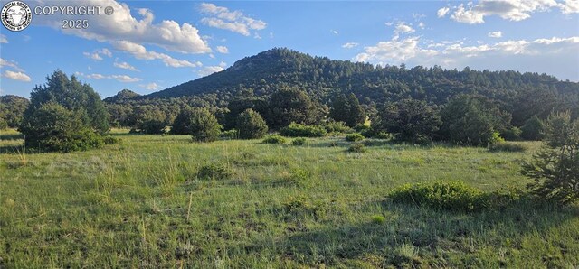 148 Mears Rd, Cotopaxi, CO 81223 - photo 21