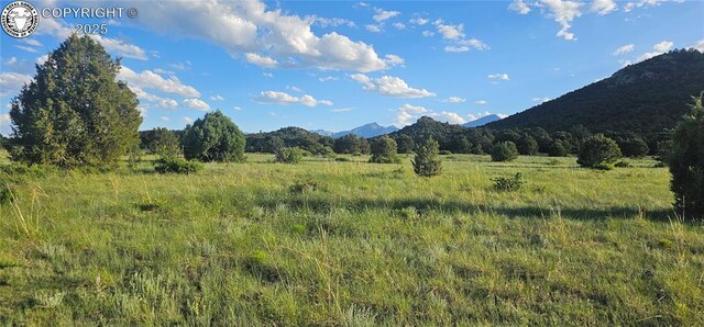 148 Mears Rd, Cotopaxi, CO 81223 - photo 45