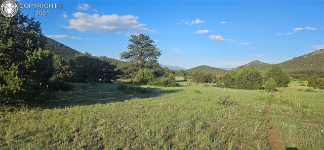 148 Mears Rd, Cotopaxi, CO 81223 - photo 18