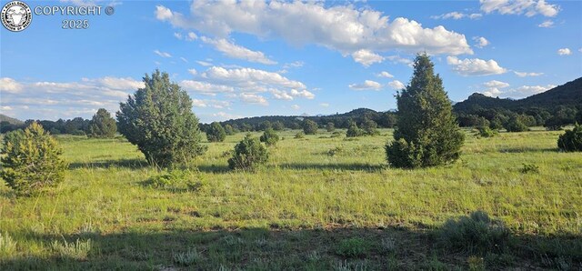 148 Mears Rd, Cotopaxi, CO 81223 - photo 38