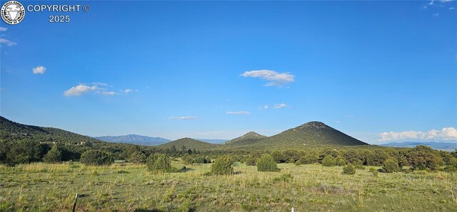 148 Mears Rd, Cotopaxi, CO 81223 - photo 1