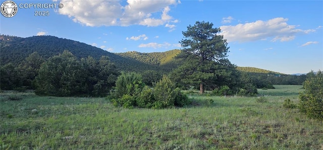 148 Mears Rd, Cotopaxi, CO 81223 - photo 22